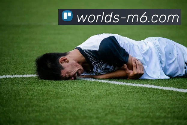 M6体育投注平台全站App